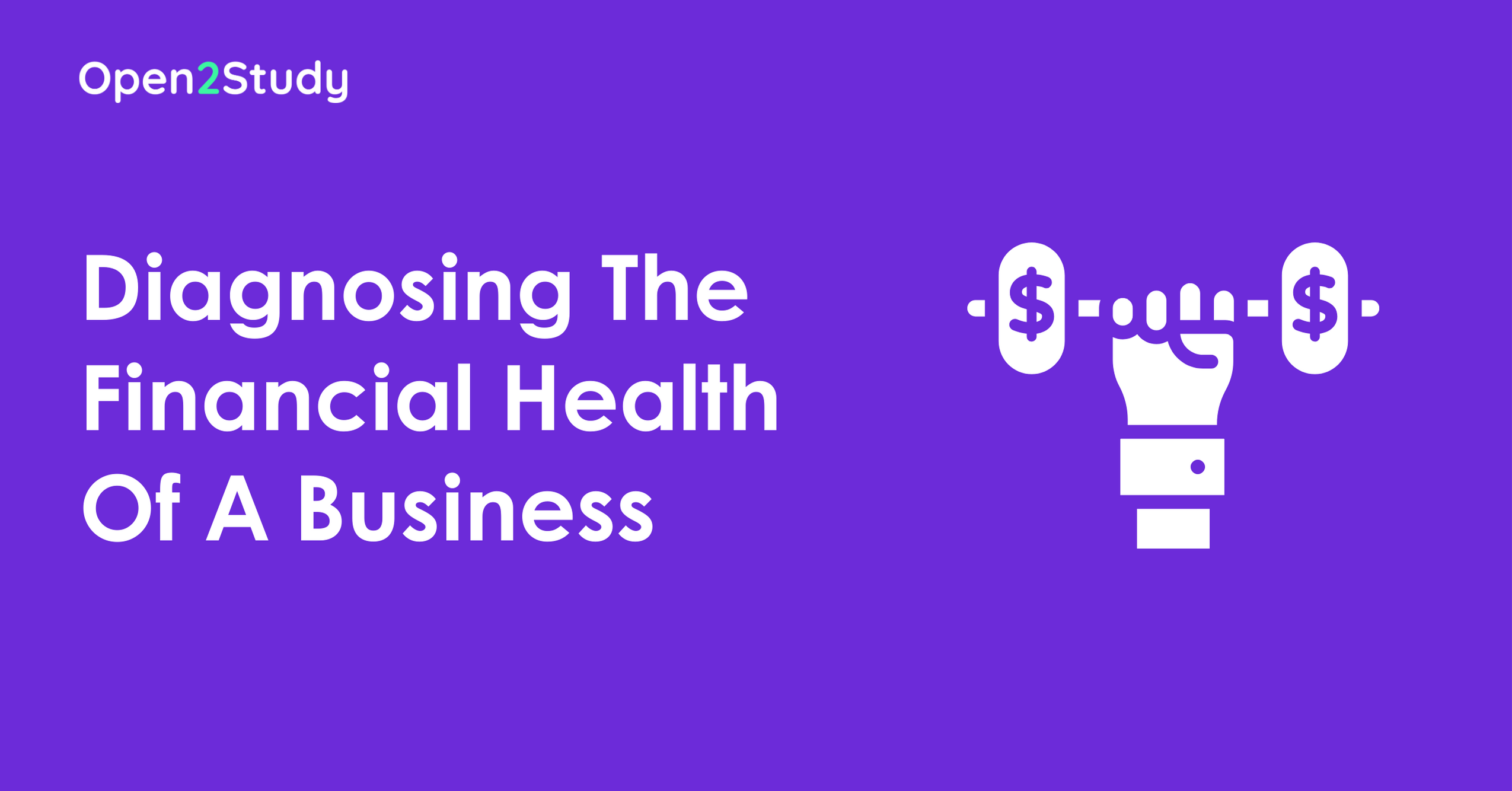 Diagnosing-The-Financial-Health-Of-A-Business