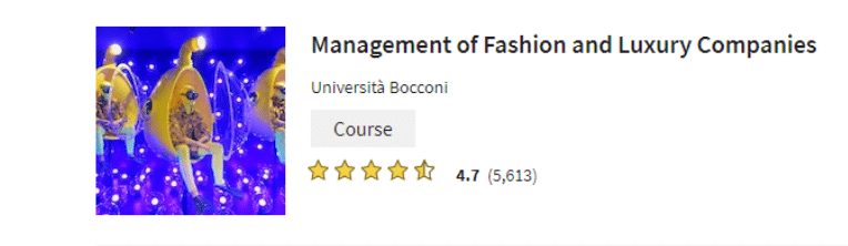 Management Of Fashion And Luxury Companies
