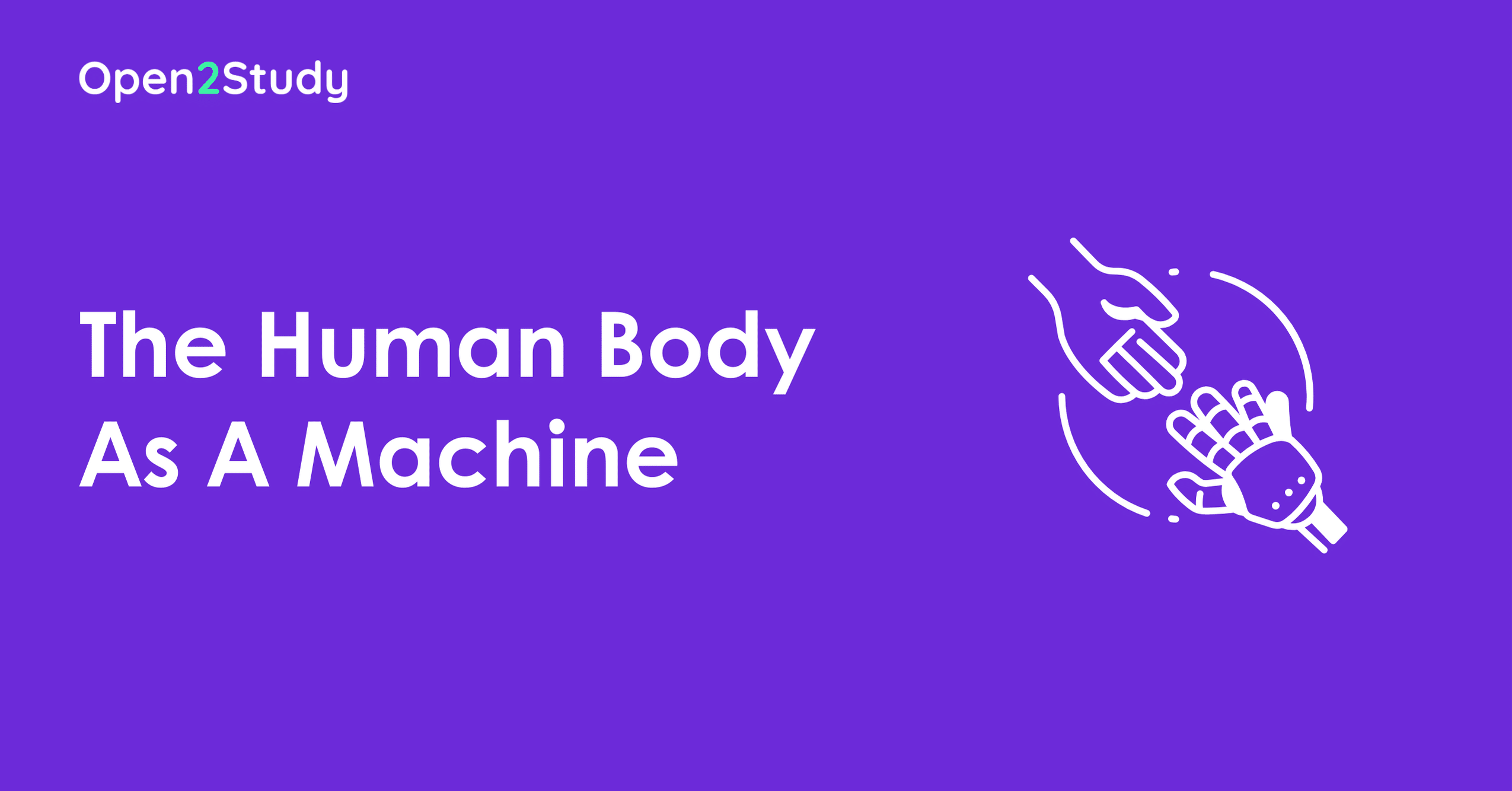 The Human Body As A Machine